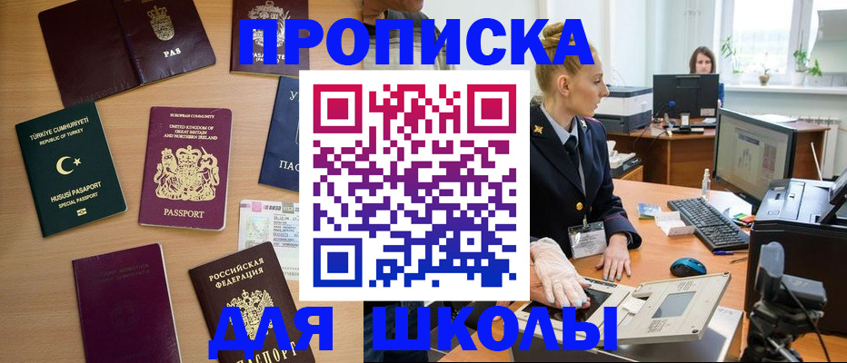 где прописаться в Кингисеппе